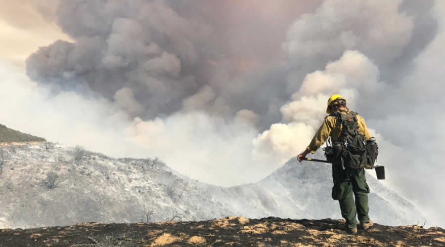 The impact of wildfire smoke on air quality: a global problem