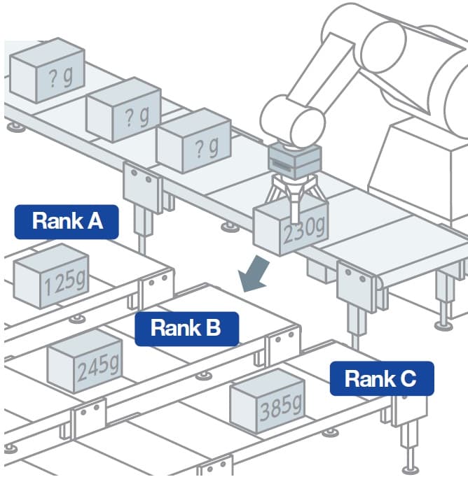 Dynamic weighing system IMAS-G - 3
